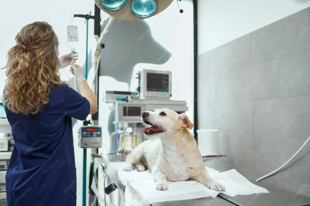 pet-Emergencies