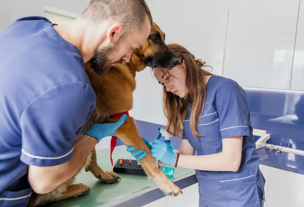 pet-Medical Facilities