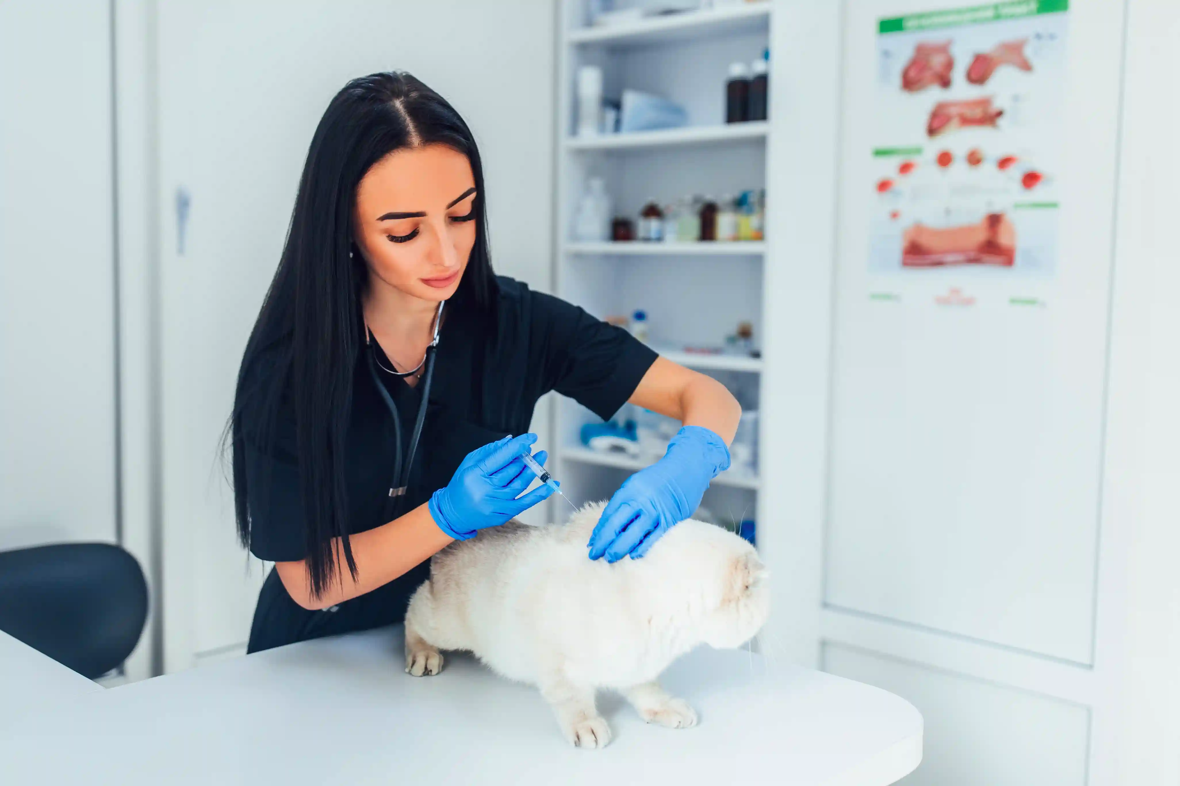 Pet Laboratory