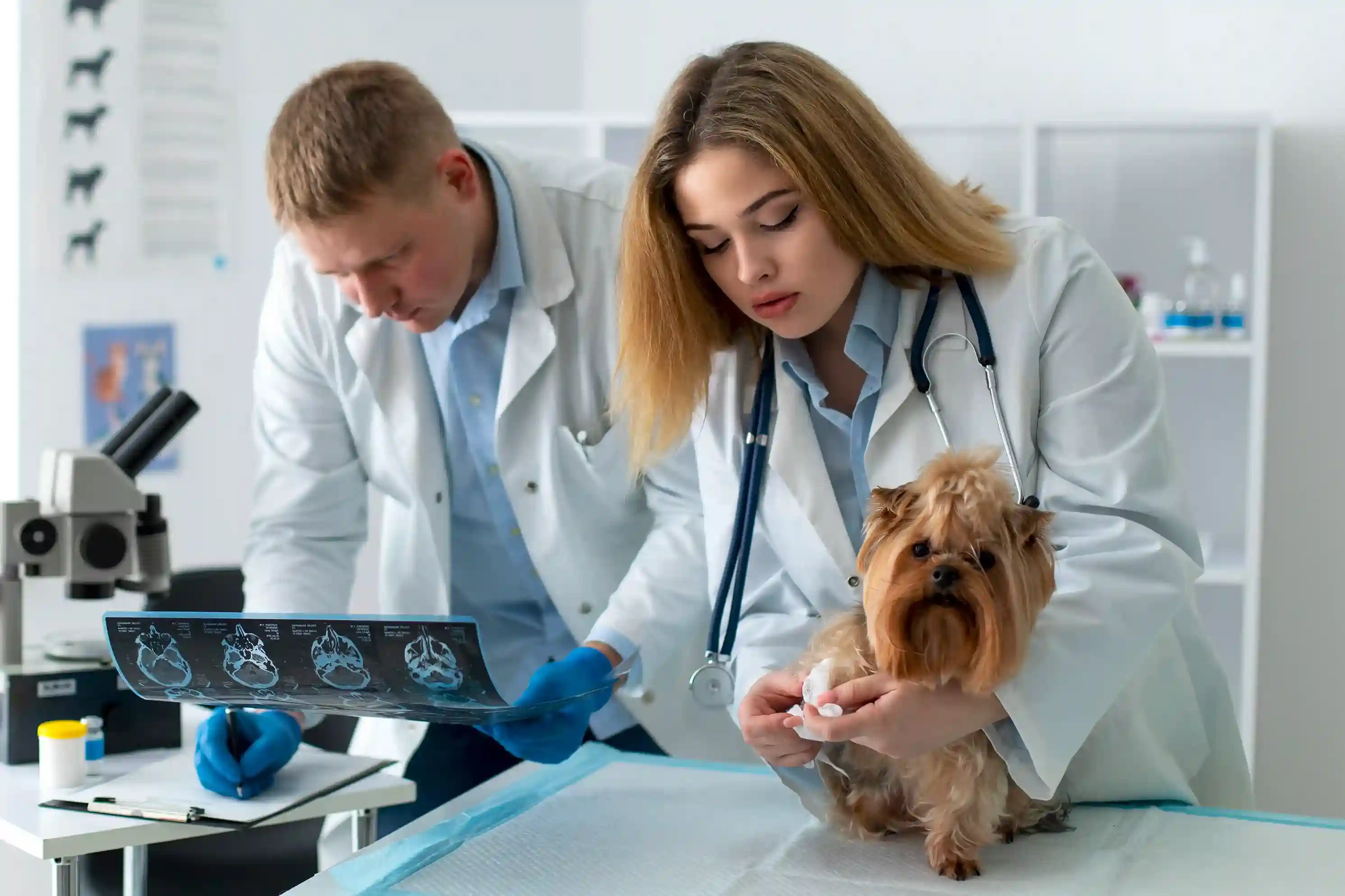 Ultrasound Services